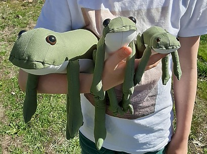 Frog Stuffed Animal & Accessories - pattern by WattlePatterns
